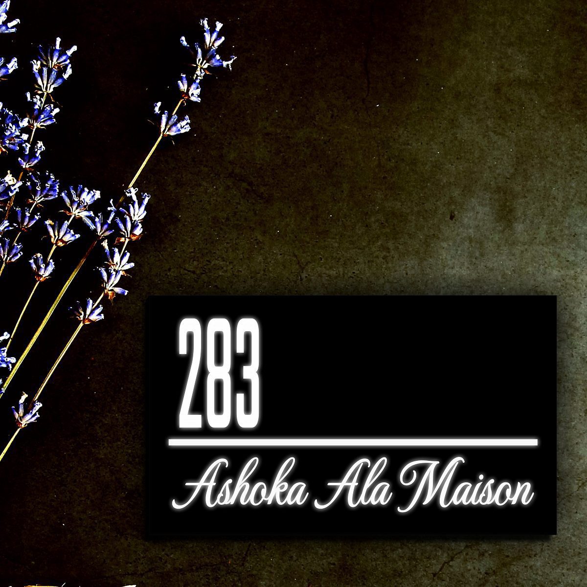 Classic black and white Light name plate