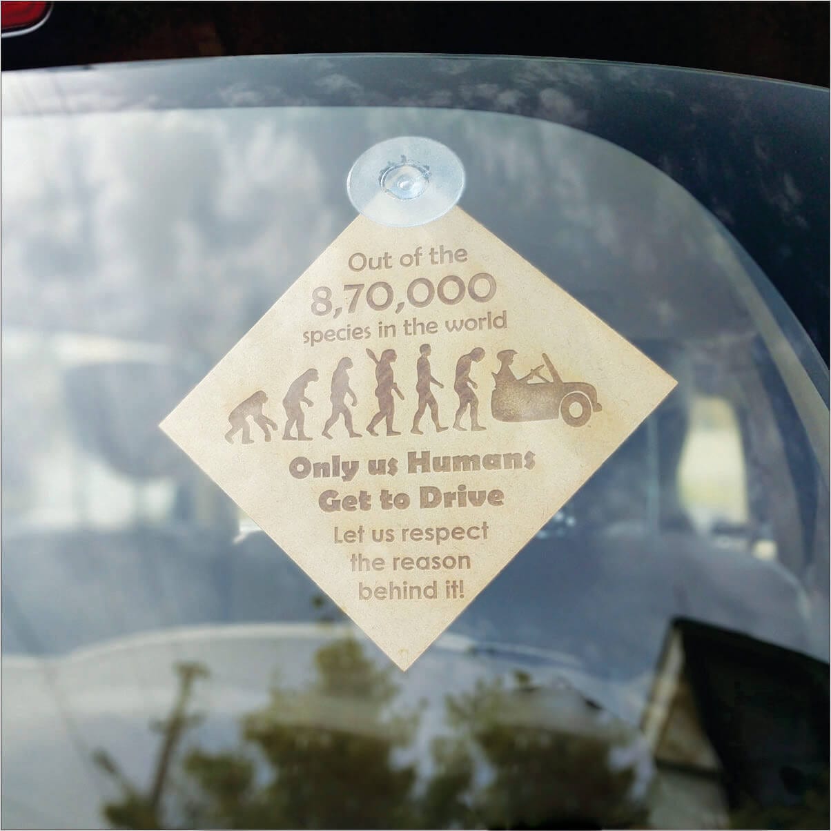 The Evolution car accessory for rear glass