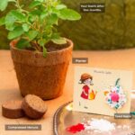 Seed Rakhi - A Rakhi That Turns Into Life