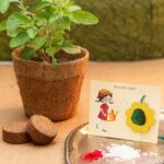 Seed Rakhi - A Rakhi That Turns Into Life