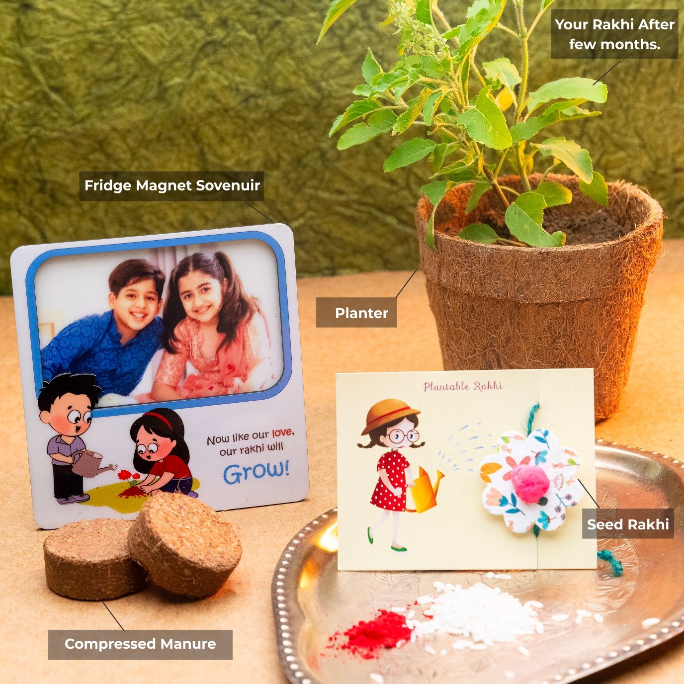 Seed rakhi gift